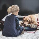 Let’s-Know-About-Nine-Top-Pets-for-Kids-and-Families-on-contribution