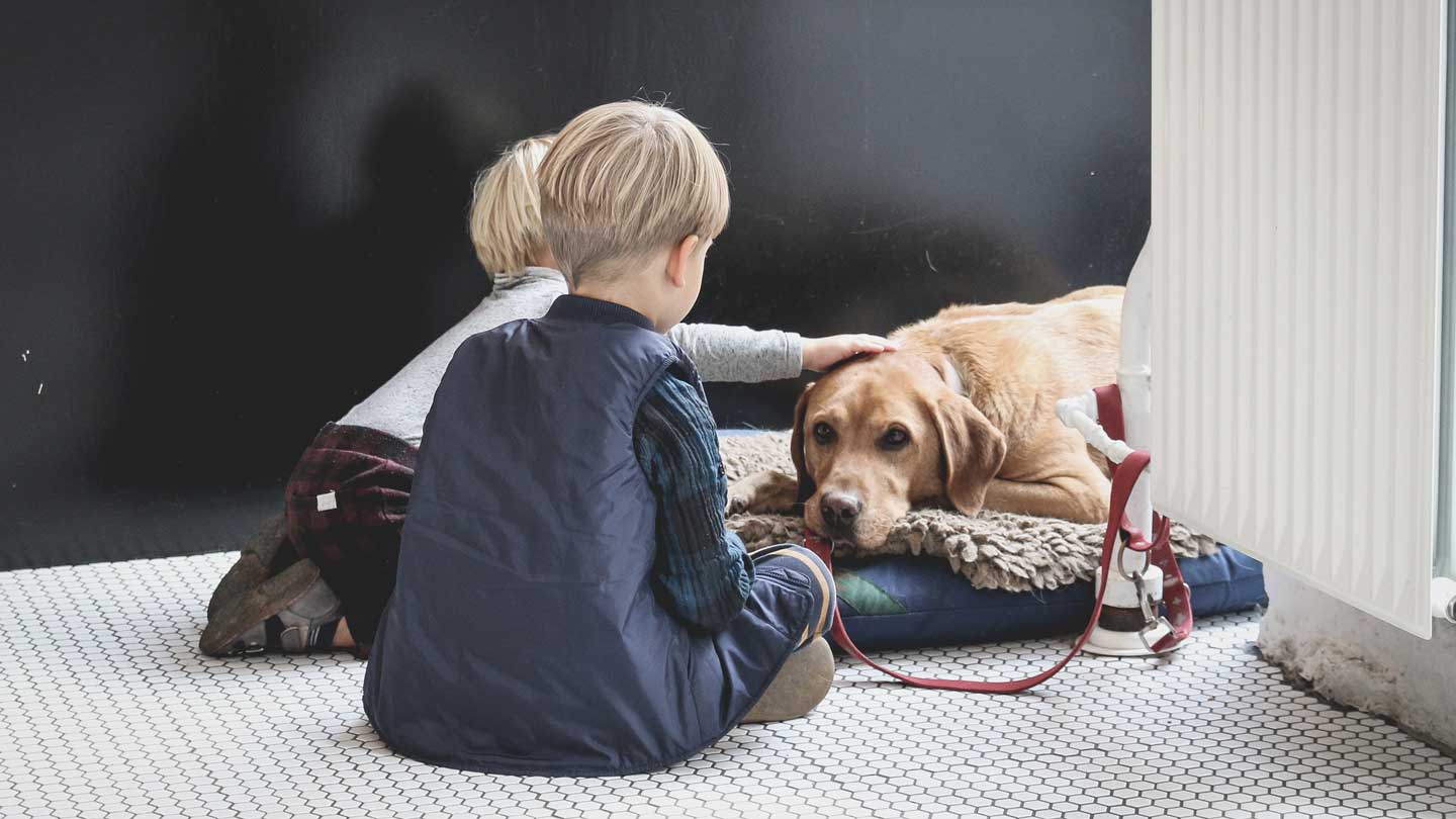 Let’s-Know-About-Nine-Top-Pets-for-Kids-and-Families-on-contribution
