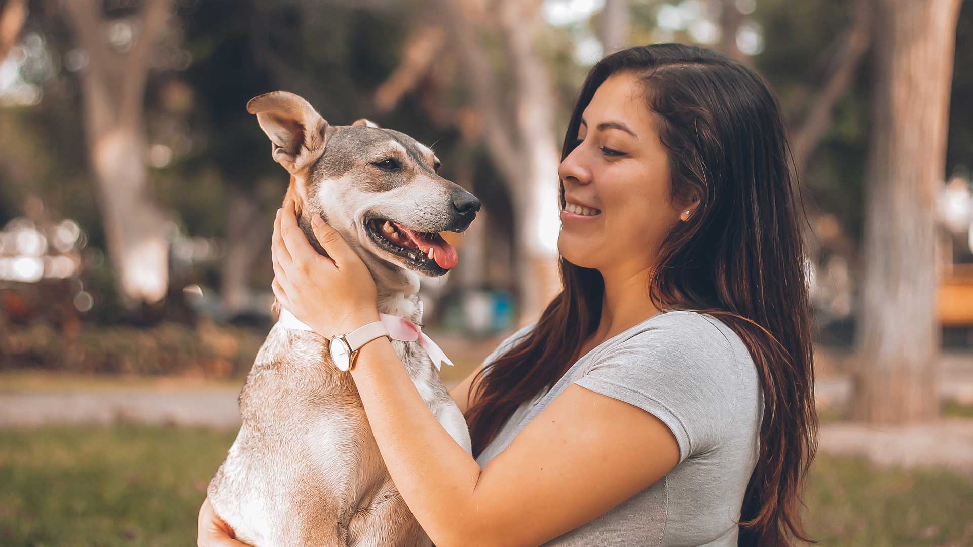 Get-Amazing-Gifts-for-the-Dog-Lovers-In-2021-on-contribution