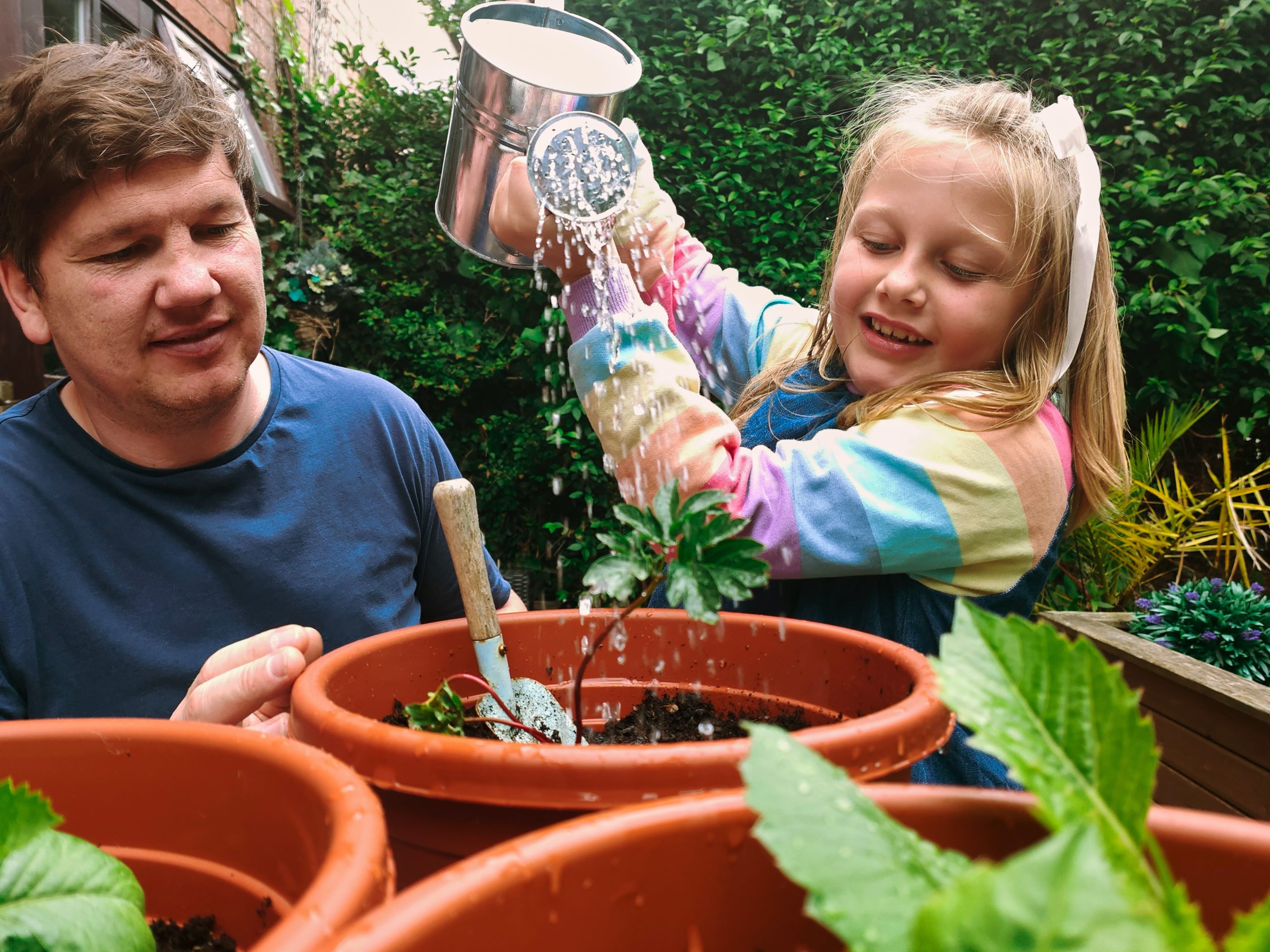 hydroponic grow kit