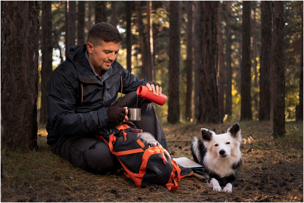dog gear